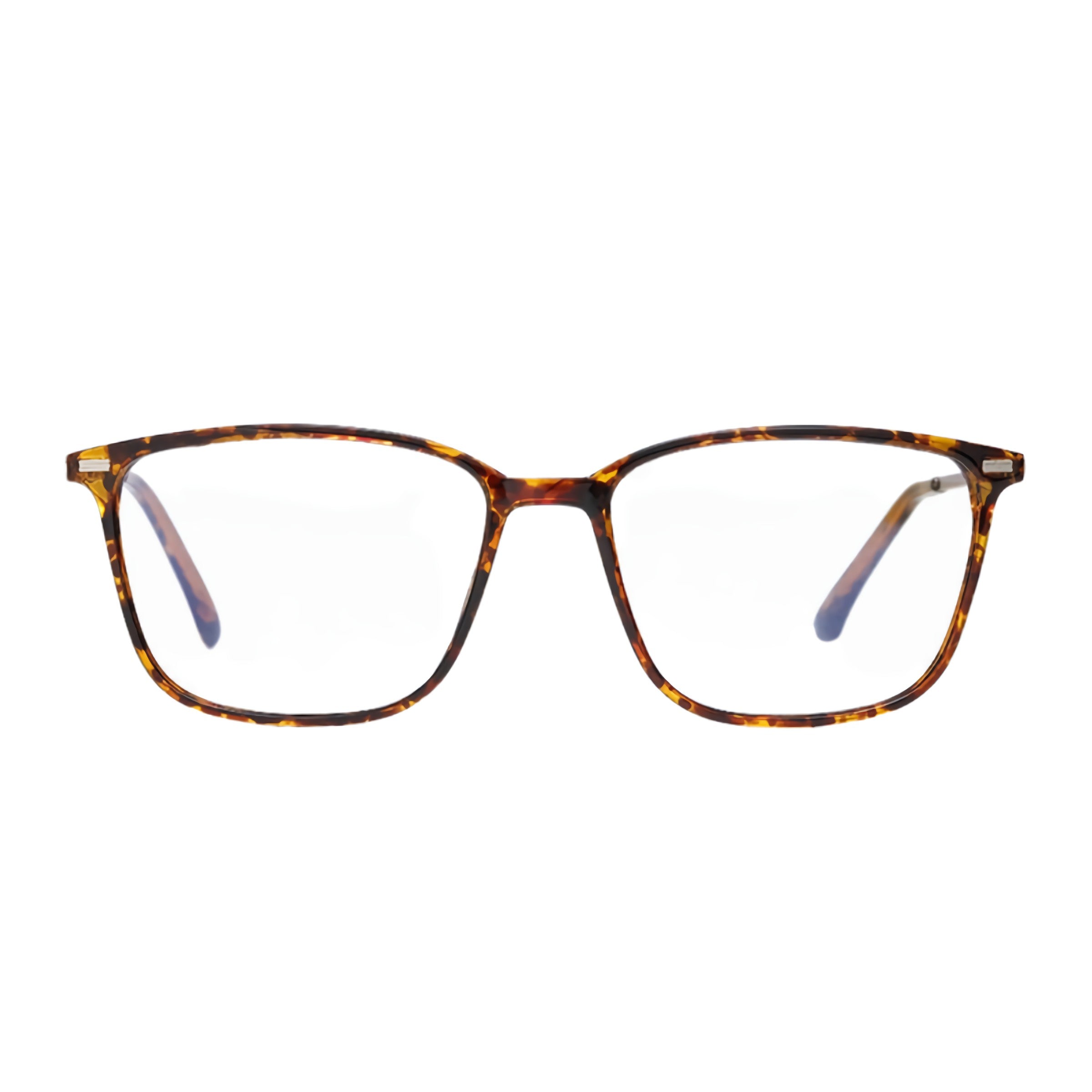 oculos punta del este leopardo frente